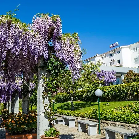 Hotel Belsol 3*