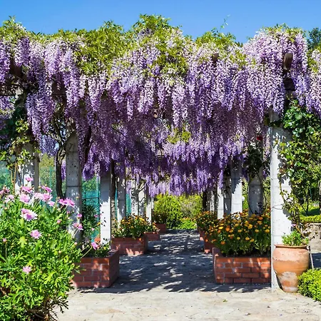 Hotel Belsol Belmonte (Castelo Branco)